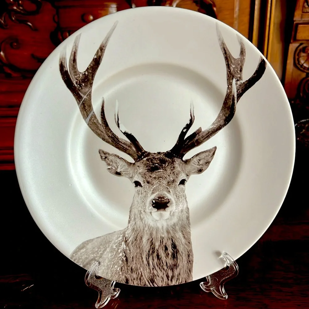 Pier 1 Imports 1 “Winter Forest” Accent Plate